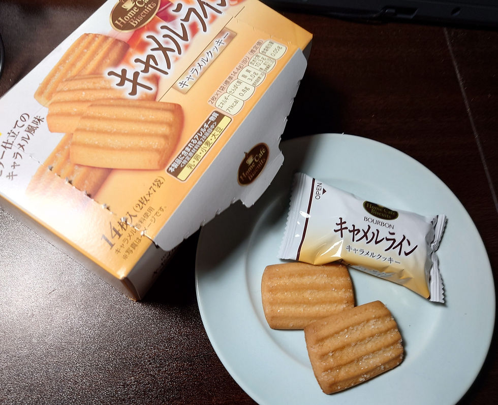 「ブルボン」の、キャメルラインです