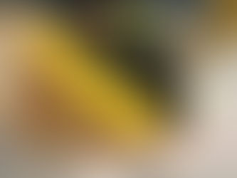 折尾駅の名物駅弁「かしわめし」です