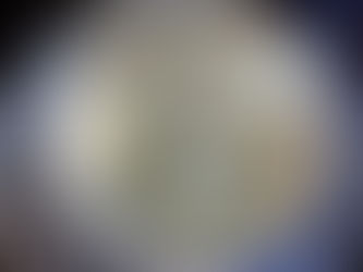 「シャトレーゼ」の、ぶどう餅・山梨県産シャインマスカットです