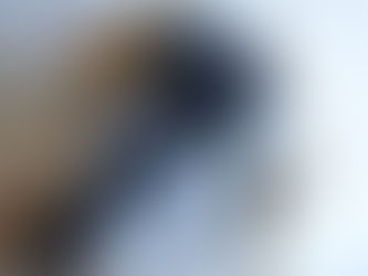 ニュー・モデル(新機種)の、カメラを買いました