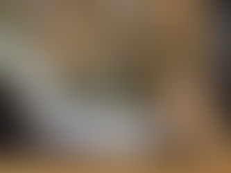 「シャトレーゼ」で、特撰柏餅・よもぎ粒餡です