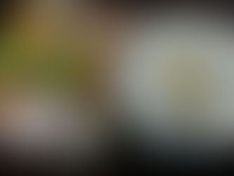 ヨーグルトキウイチョコは、酸っぱくて美味しいチョコレート菓子です