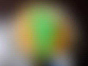 「シャトレーゼ」の、マンゴープリンです