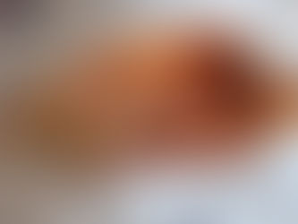 「カラデニス61」(千葉中央駅近く)は、トルコケバブの店です(3)