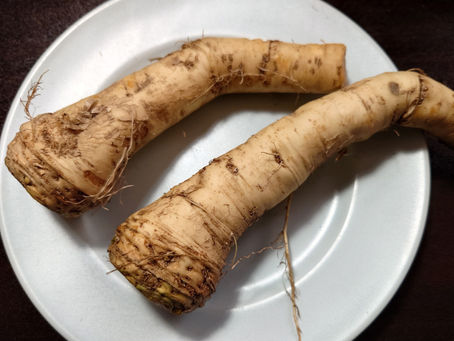 北海道特有の野菜、山わさびです