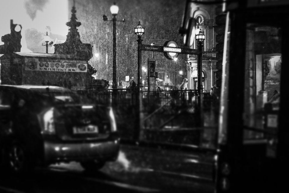 IMG_2201.JPEG