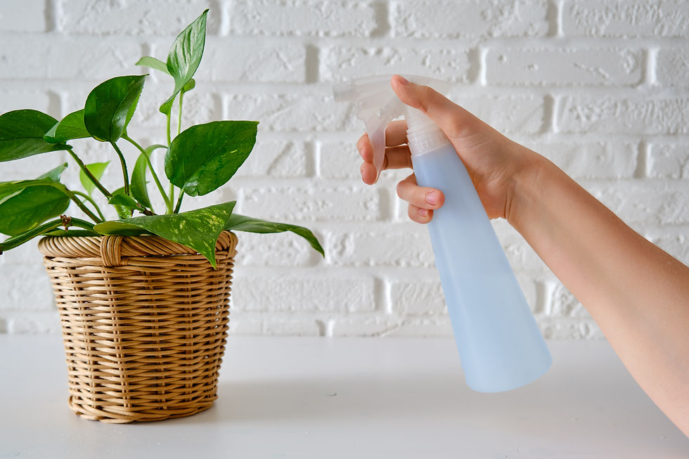 The Benefits of Botanical Pest Control and EcoSmart Products