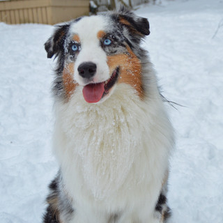 DSC_0102.jpg