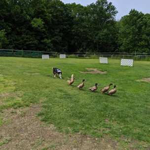 IMG_20190601_133755.jpg