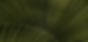 Plant_edited.jpg