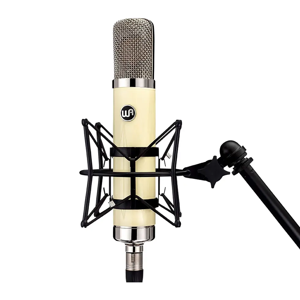 Miniatura: micrófono profesional para grabar Warm Audio WA-251