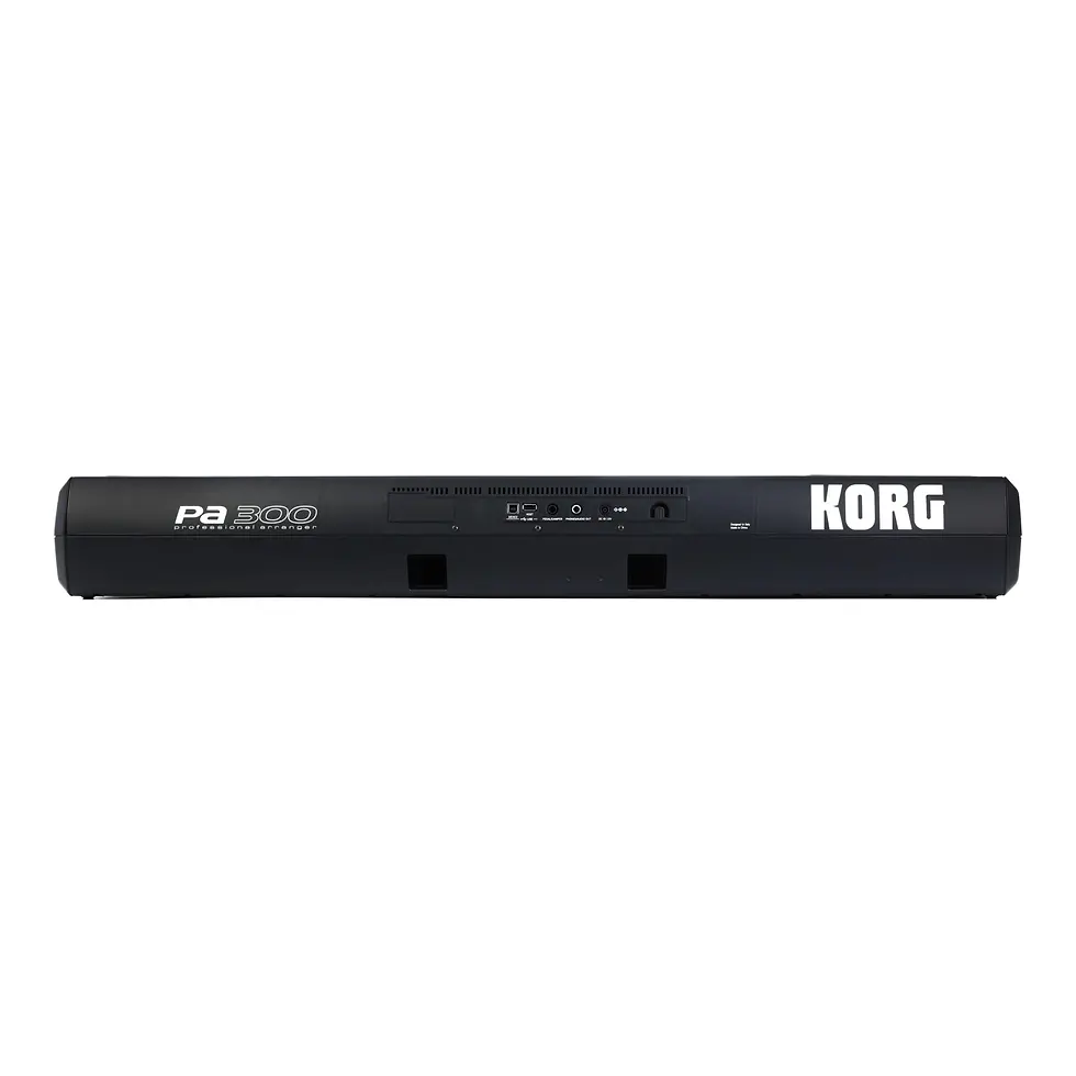 Miniatura: Teclado profesional KORG Pa300