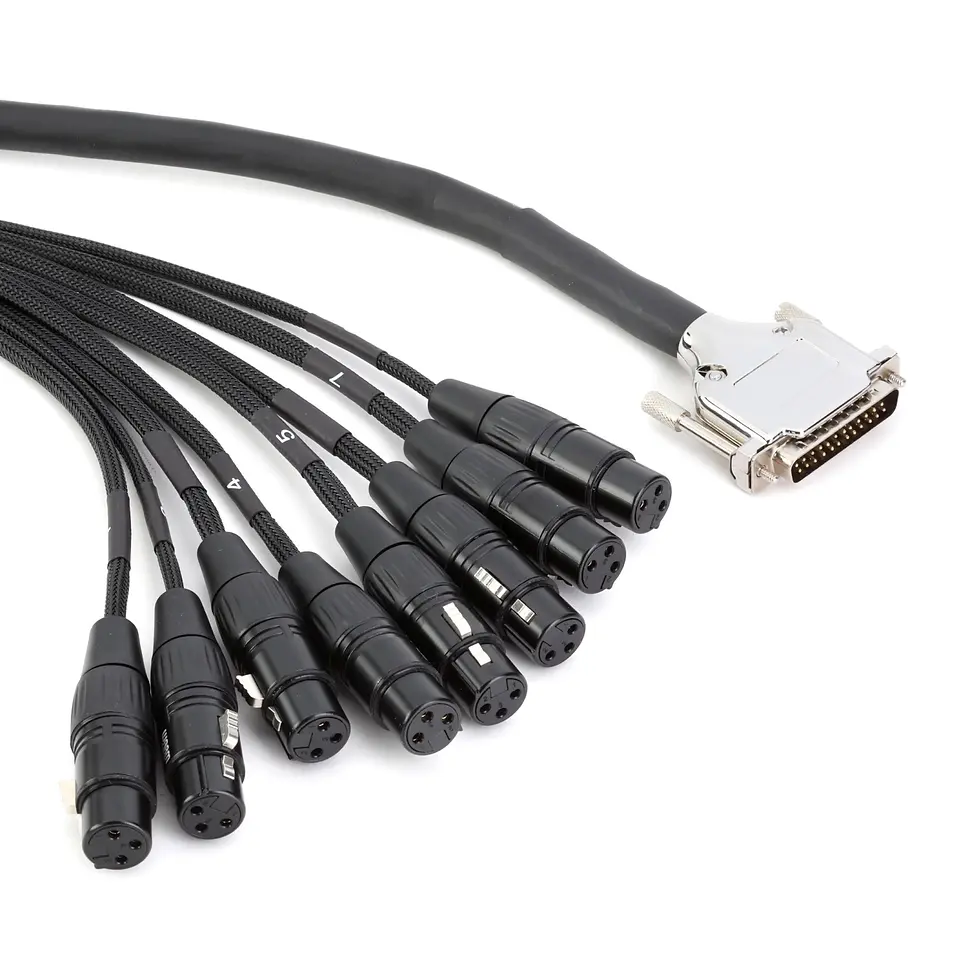medusa profesional Warm Audio Premier DB25 XLRf 10