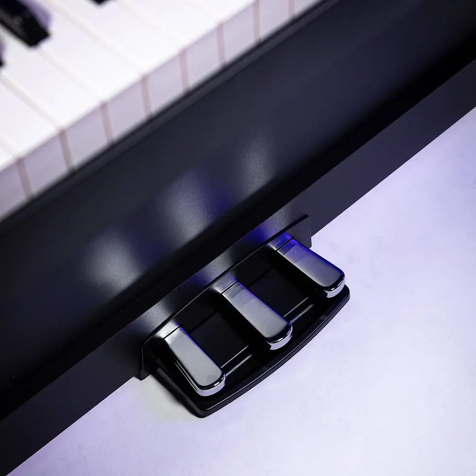 Miniatura: piano digital con pedales compatibles medio pedal KORG B2+SP