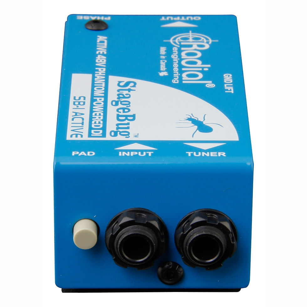 Miniatura: Caja directa Radial StageBug SB-1