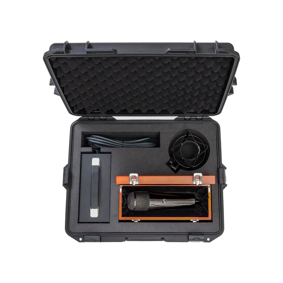 Miniatura: Warm Audio WA-47T Edición limitada