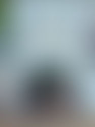 Lời nhà Xuất bản. Chương 1. Quê hương và thời niên thiếu. Chương 2. Tham gia cuộc kháng chiến chống thực dân Pháp)