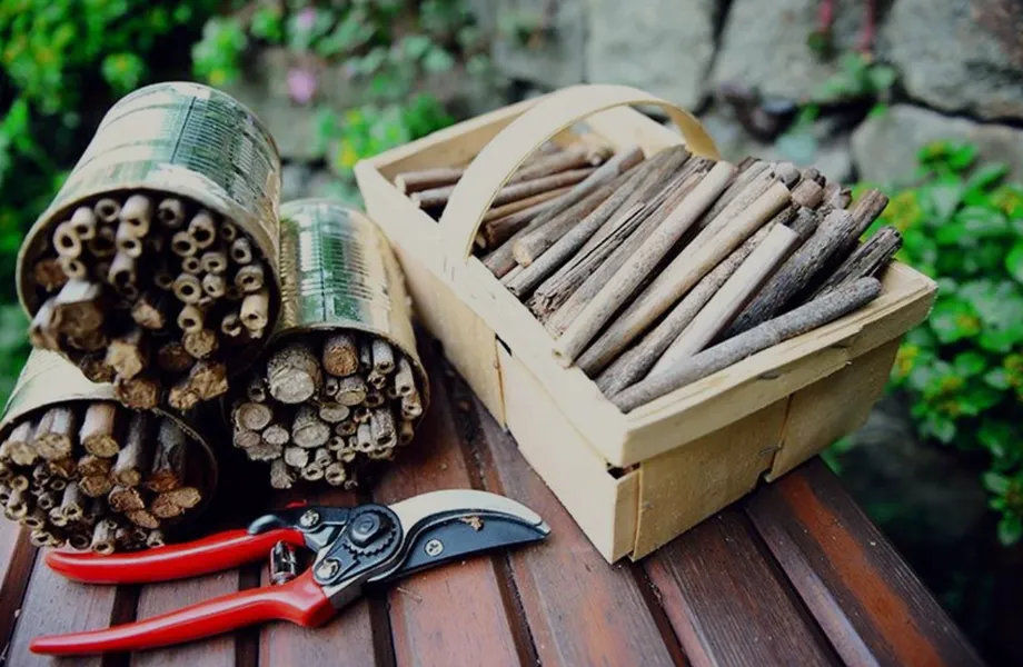 Garden materials to build a bee hotel