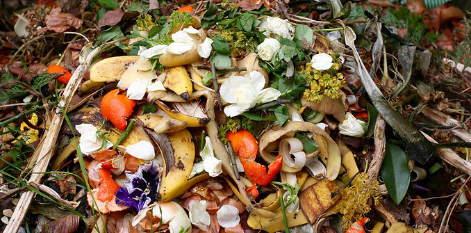 Recycling-Organic.jpg