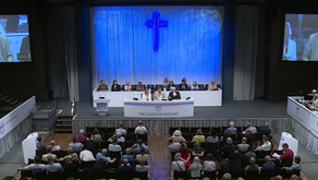 Synod Round-Up Friday 10/07/26