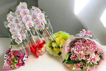 各種贈答用ブーケ・花束・胡蝶蘭