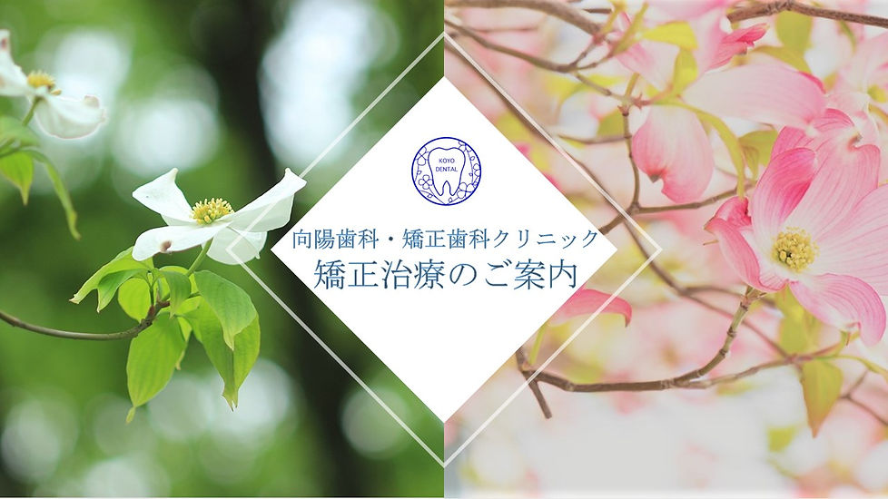 1矯正治療のご案内