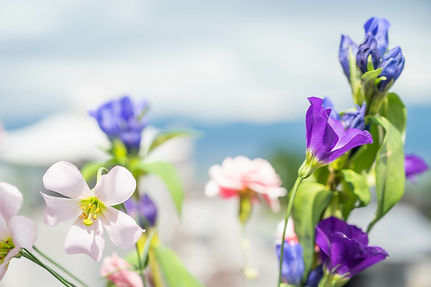 お墓の移転、墓じまい