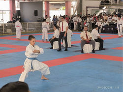 IMG_20250329_111218 1280