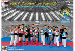 Fly-paulista 1280