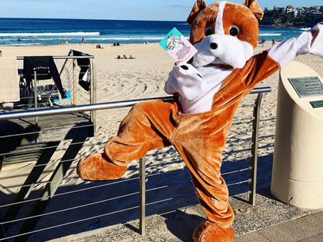Pound Paws Dog Day at Bondi Beach