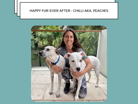 Chilli aka Peaches Happy Fur-ever after! 