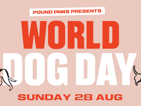 Pound Paws celebrates World Dog Day at The Sheaf