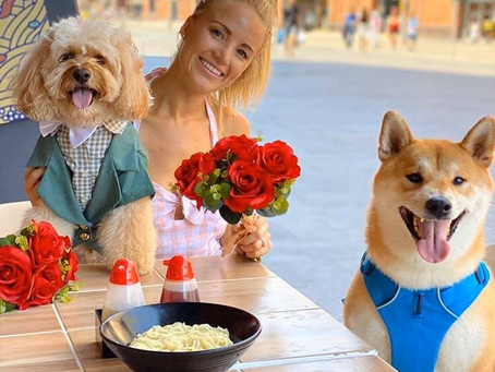 The best ways to spend Valentine’s weekend with your pet