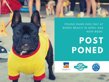 POSTPONED - Dog Day at Bondi Beach