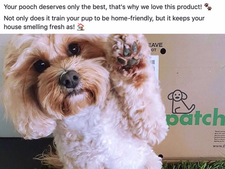 Self isolate with Fresh Patch Australia