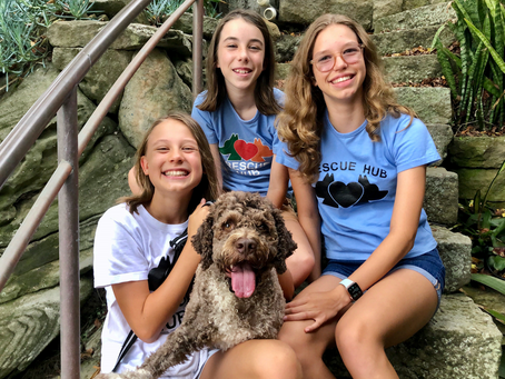 PUCCII Juniors making a difference for the rescues!