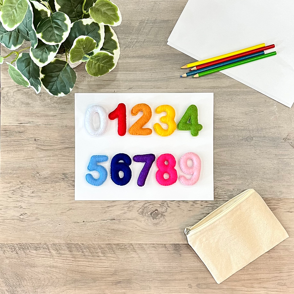 Custom Felt Numbers Set