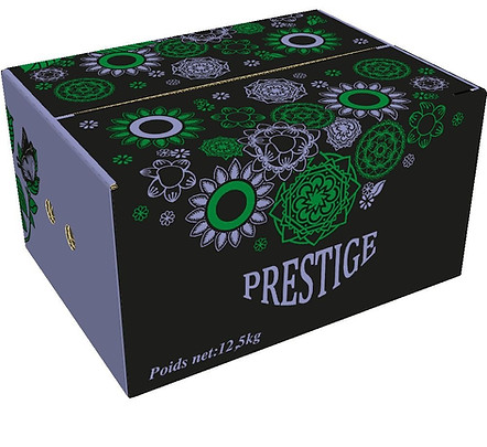 Prestige violet 12,5 kg_edited.jpg