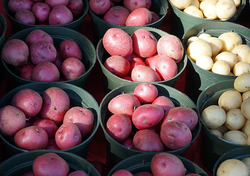 Pdt variétés Sopom.jpg