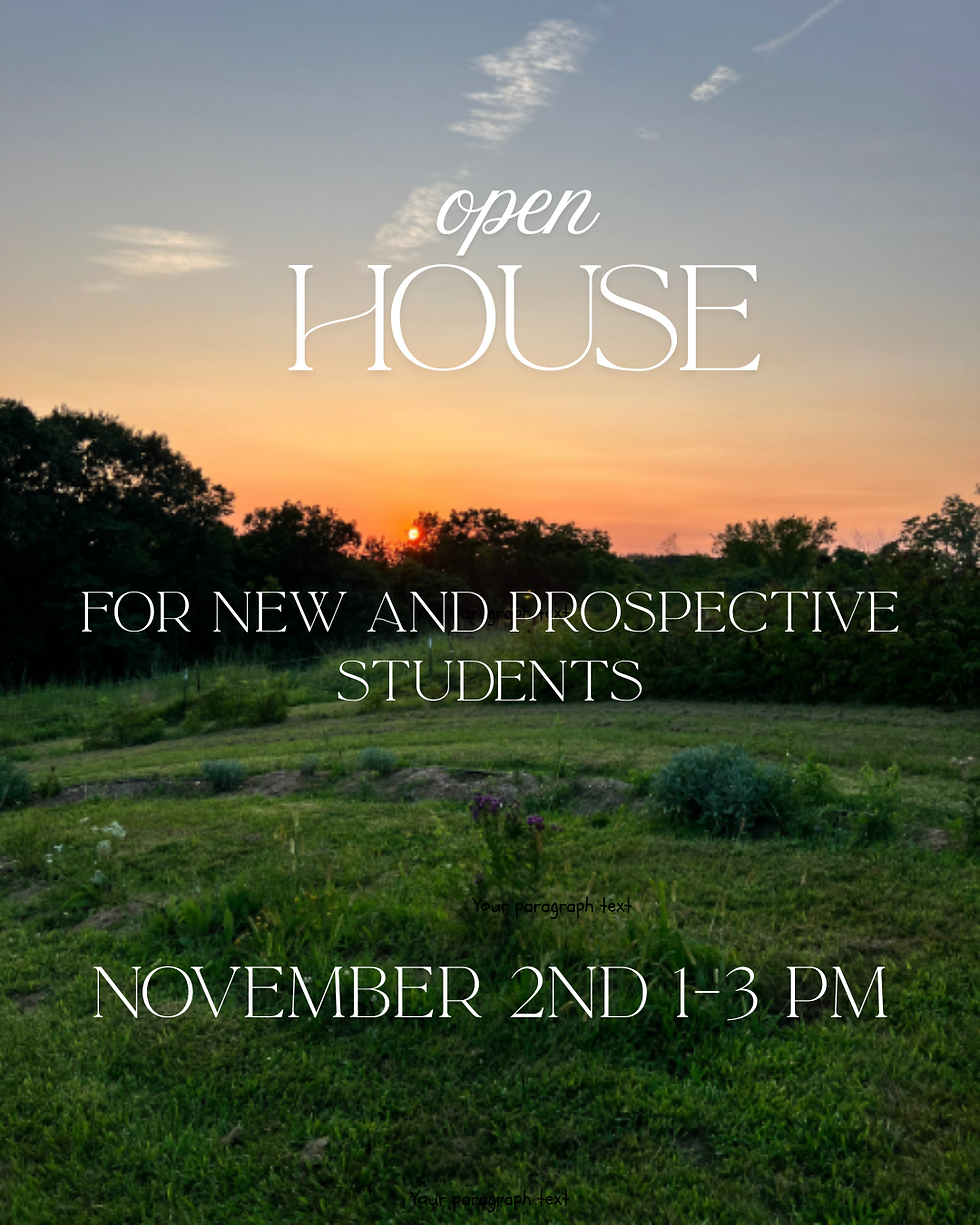 Sacred Earth Art's November Open House