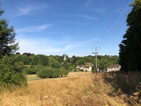 IMG_5568.jpeg