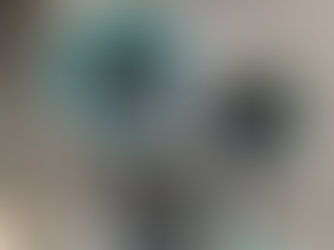 Composting in Monsoons shared by Maria Nifa Fernandes