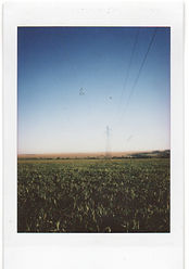 Scan 1.jpeg