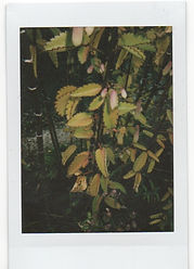 Scan 12.jpeg