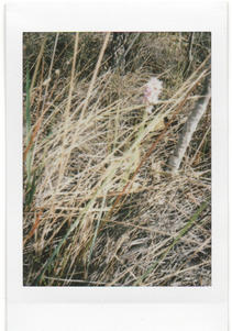 Scan 10.jpeg