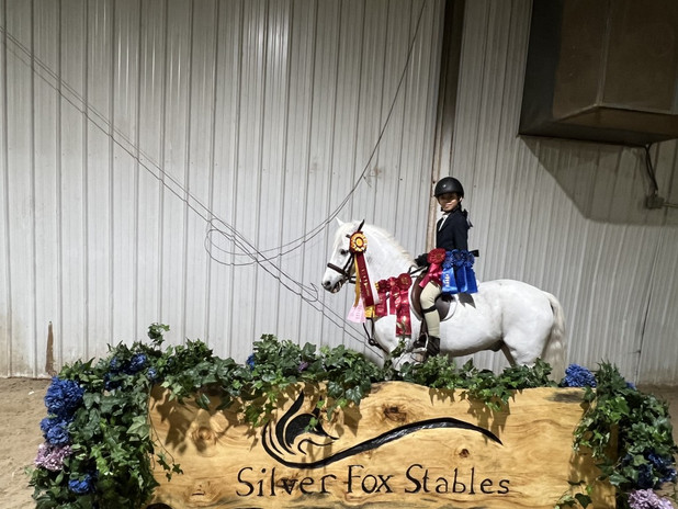 SHOWS | Silver Fox Stables