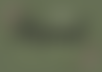 green background with text overtop