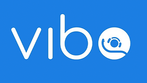 VIBO PIZZA.png