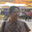 Writer: Binita Bandyopadhyay