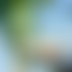 Fighting food waste in the LAC tourism sector